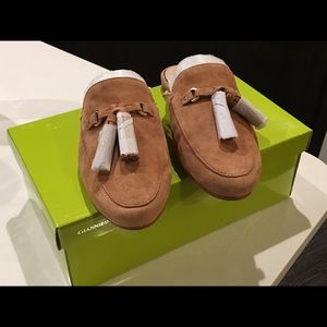 Gianni Bini slides